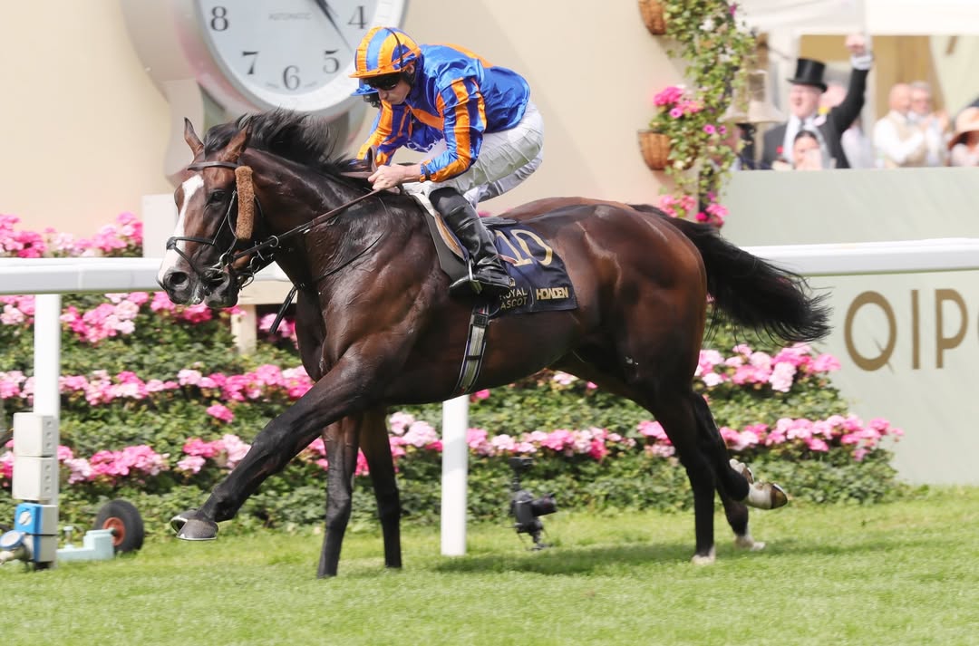 Royal Ascot race results 19 June flat racing action at Ascot Racecourse