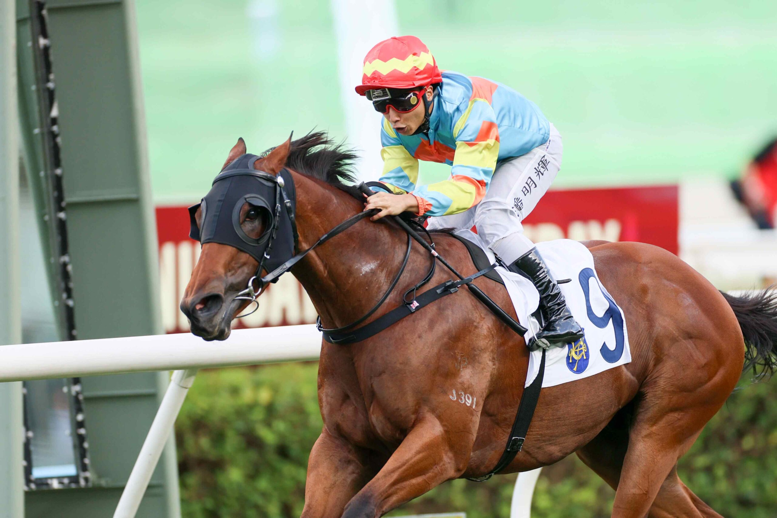 Sha Tin Race Results : Ka Ying Attack Wins Hong Kong Reunification Cup