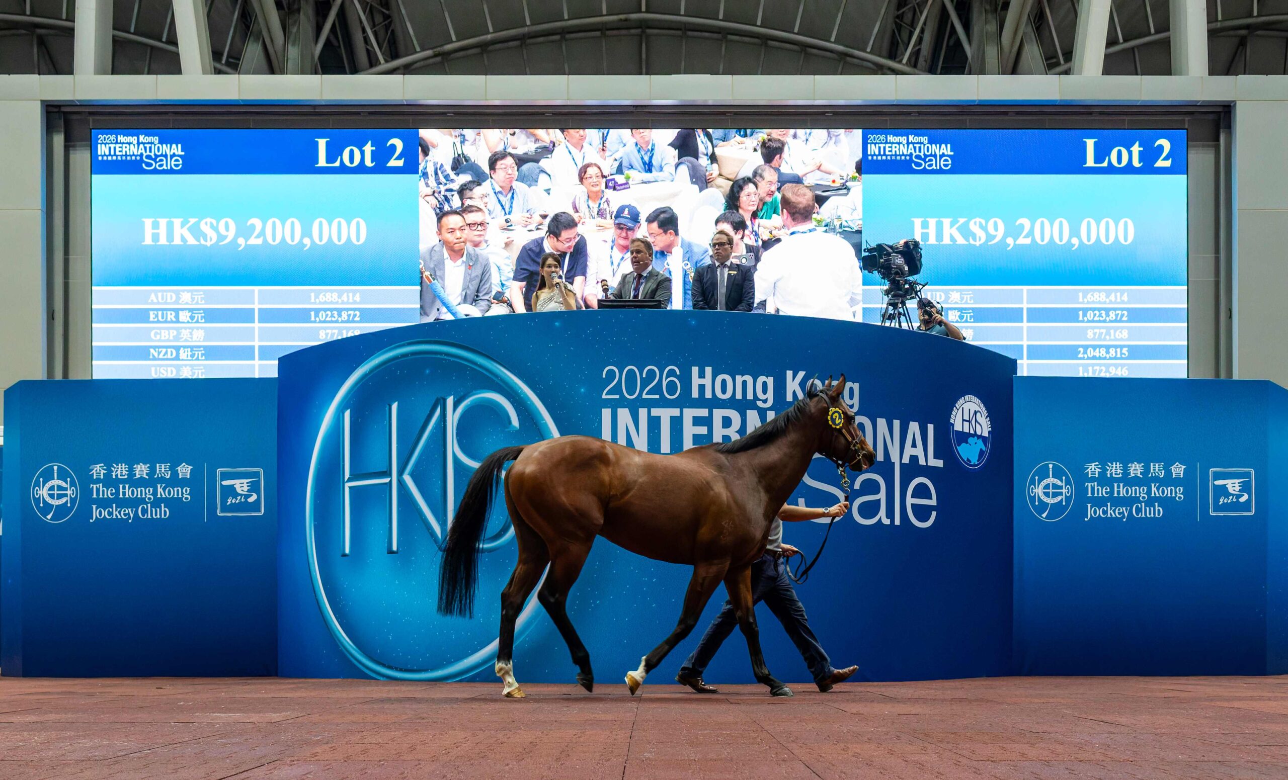 Hong Kong International Sale 2026 Results: Deep Field Colt Tops