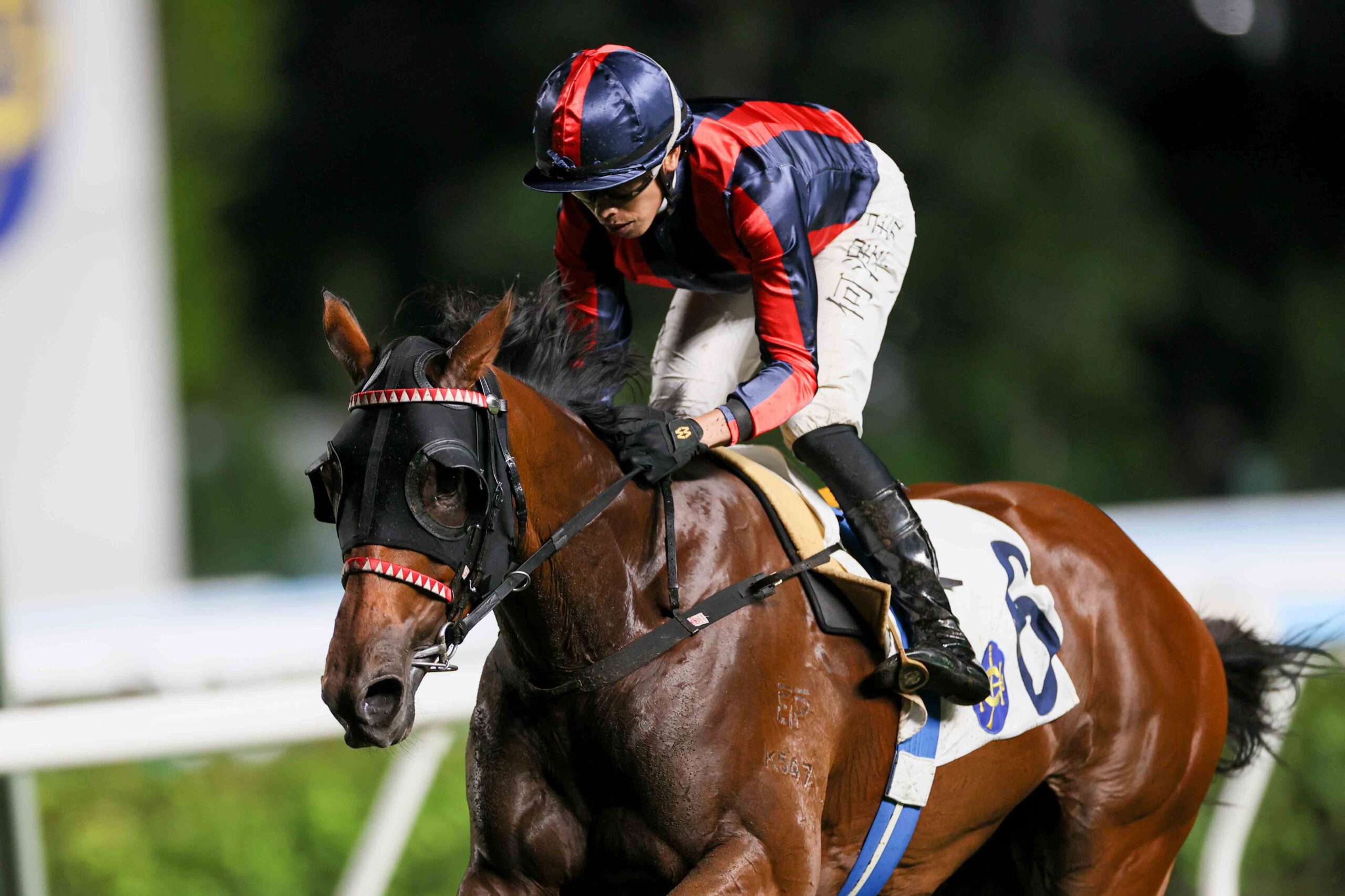 Victor Supreme winning impressively at Sha Tin Racecourse