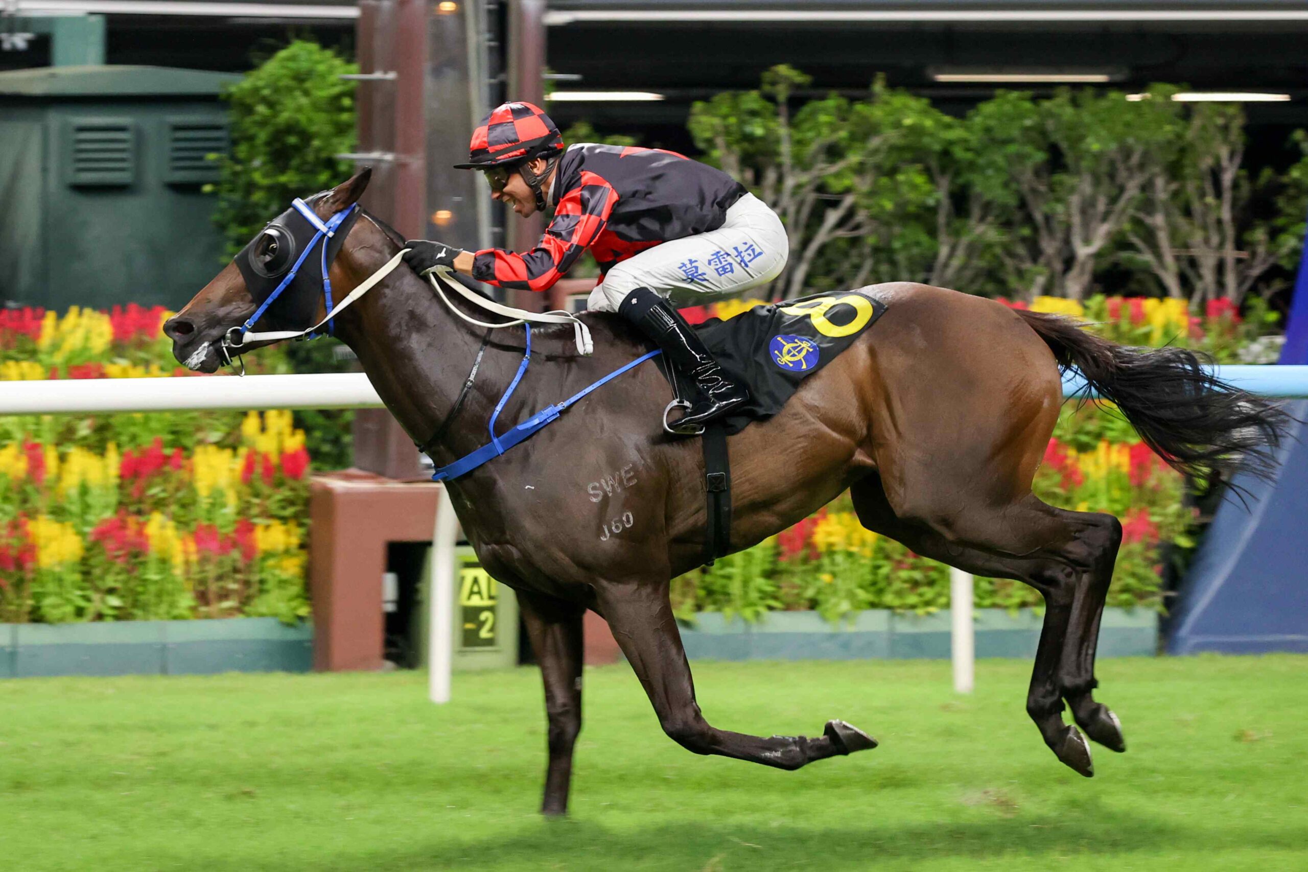 Caspar Fownes celebrates after Happy Valley racing results treble