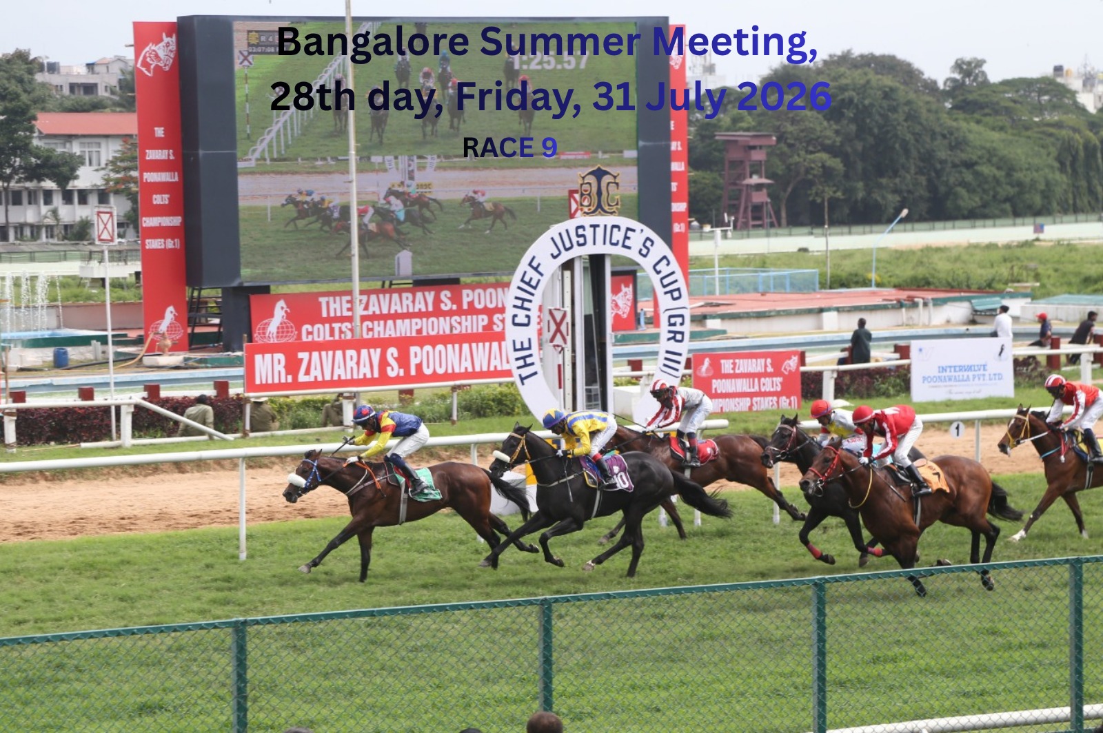 Bangalore race result 31st July featuring CARAT LOVE winning Champion Jockey Cup DIV II
