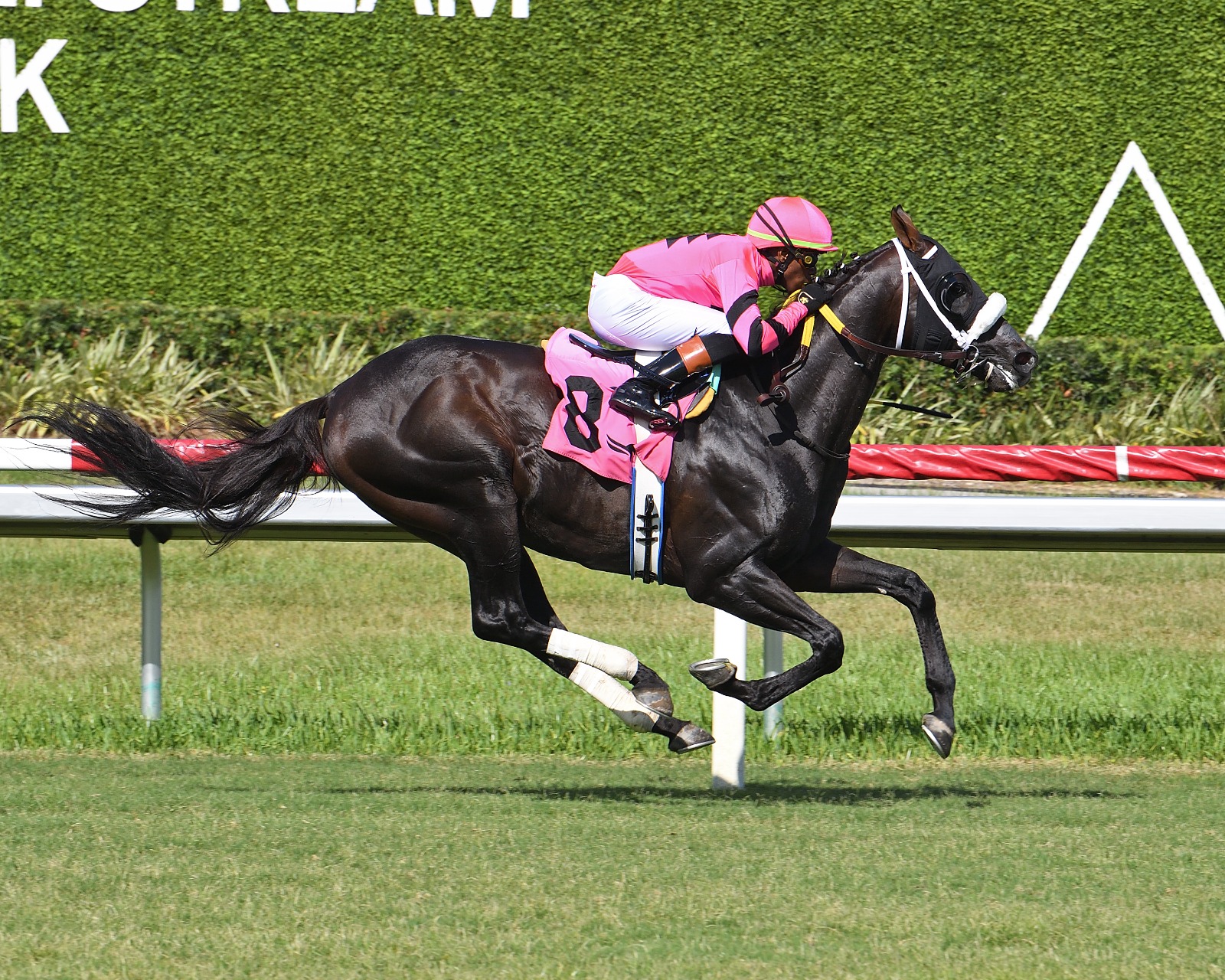 Gran Oriente winning Soldier’s Dancer Handicap at Gulfstream Park