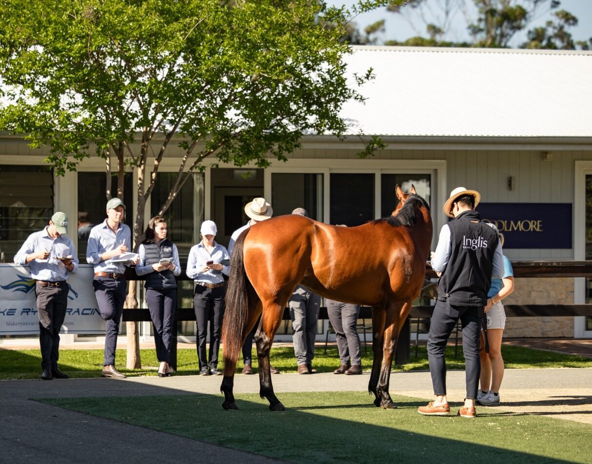 Inglis Ready2Race Sale horses and bloodstock event