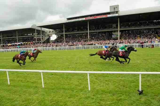 Irish racing industry 2026 reports growth in prize money, bloodstock sales and racehorse ownership
