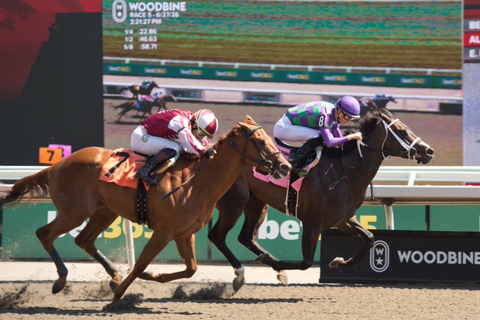 Empire Trillium Series nominations announced for 703 New York and Canadian-bred two-year-olds