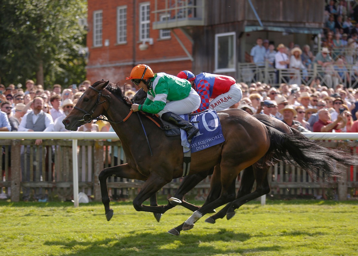Newmarket July Cup 2026 runners confirmed for Saturday's Group 1 sprint