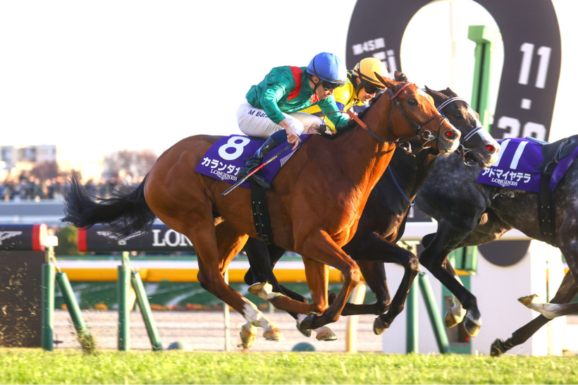 Vichy racecards 30 July 2026 flat racing action at Vichy Racecourse