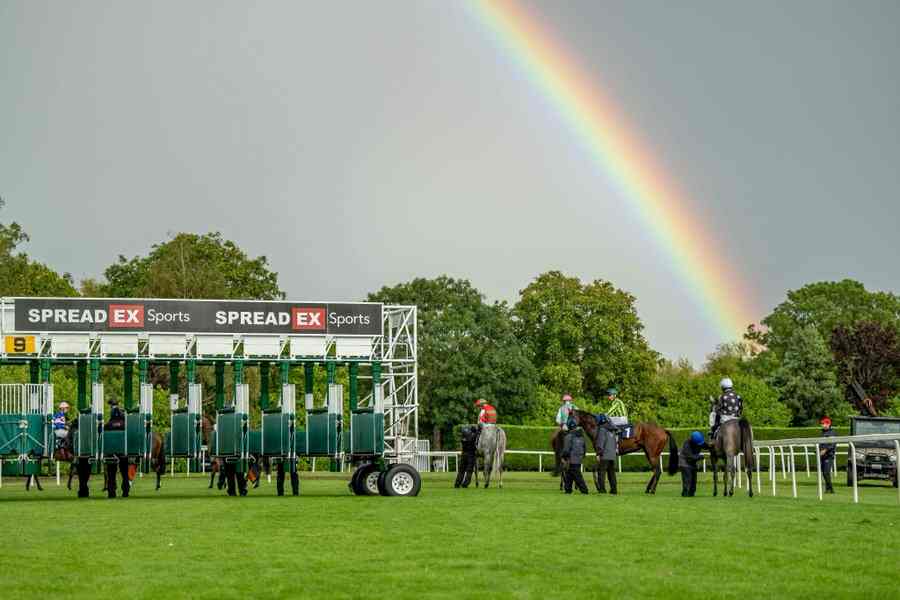 Winning horse crosses the finish line during Windsor racing on 27 July 2026