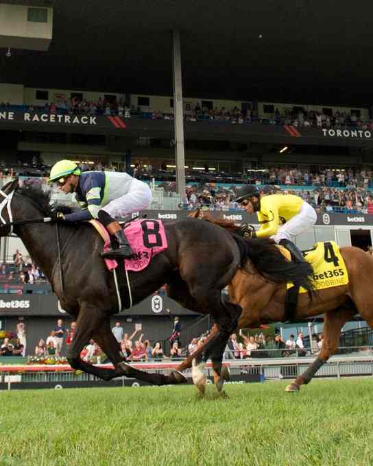 Woodbine racing cancelled due to poor air quality at Woodbine Racetrack in Toronto