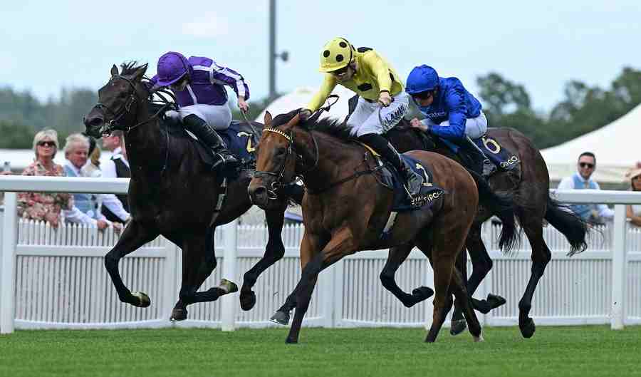 Bow Echo before the Goodwood Sussex Stakes 2026 at Goodwood Racecourse
