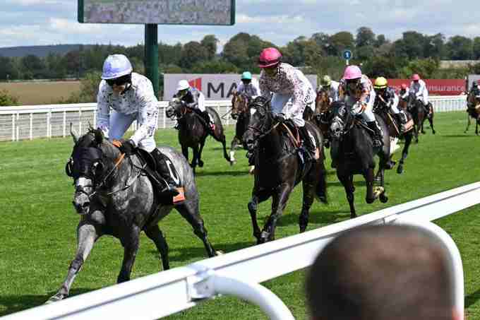 Night Raider leading contenders for King George Stakes 2026 at Glorious Goodwood