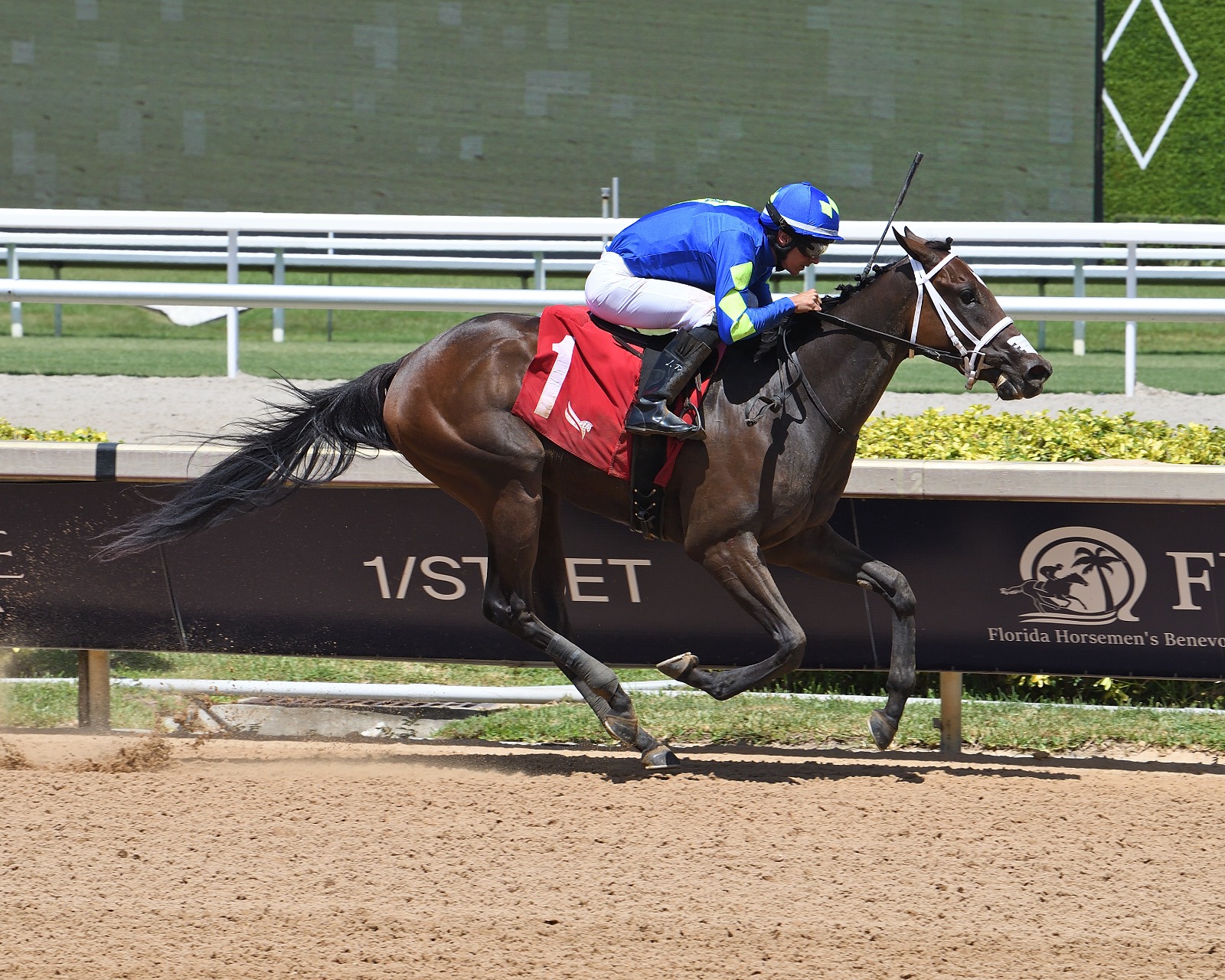 Gulfstream Park Race Results: Hot Rod Honey Wins Sharp Susan