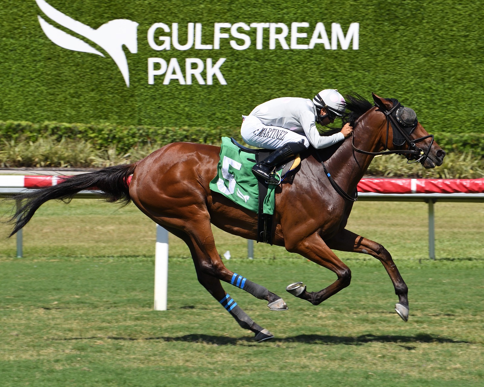 Layabout returns in the Gulfstream Park Soldier's Dancer Handicap after a four-month break.