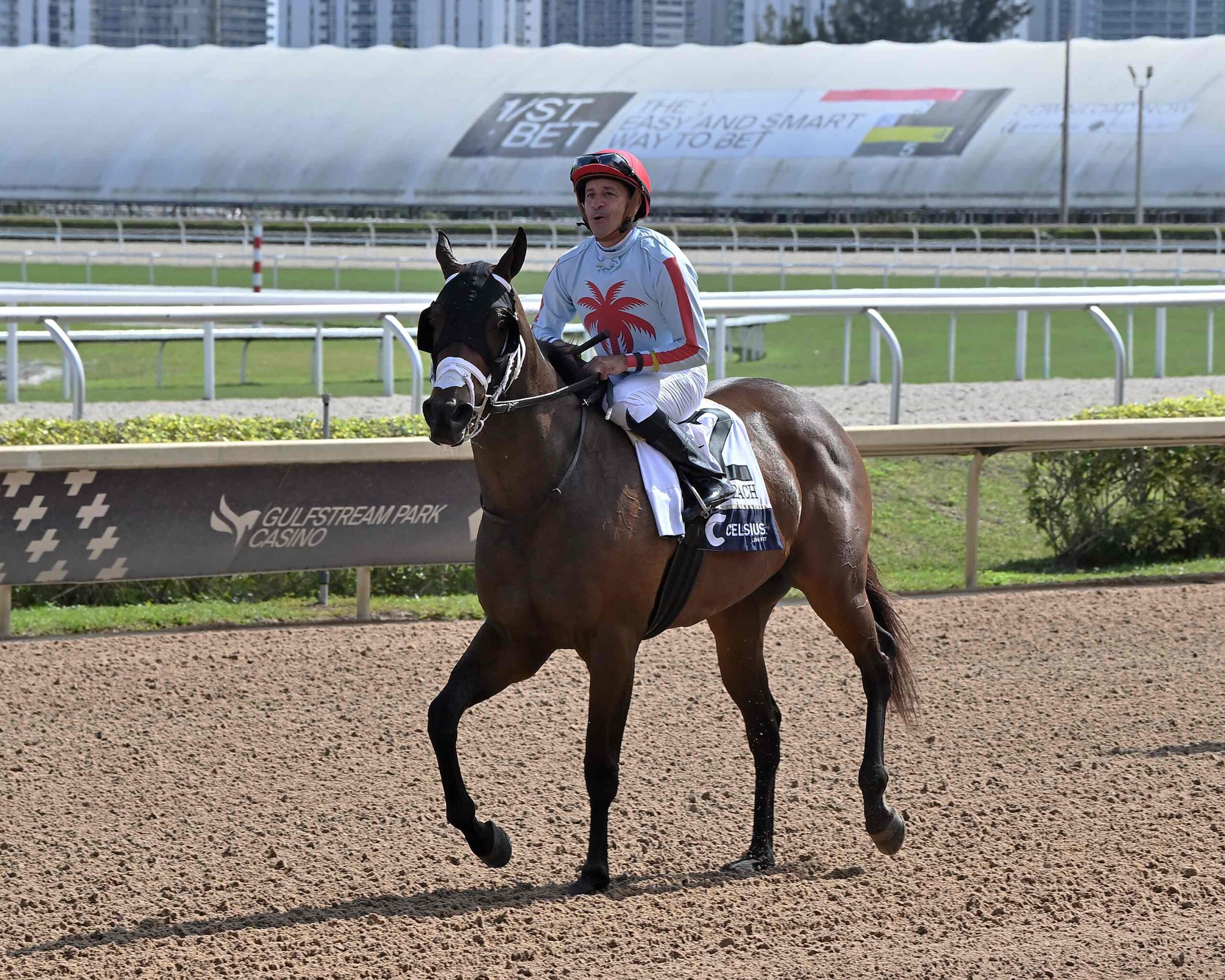 Miss Mary Nell ahead of the Gulfstream Park Powder Break 2026 at Gulfstream Park
