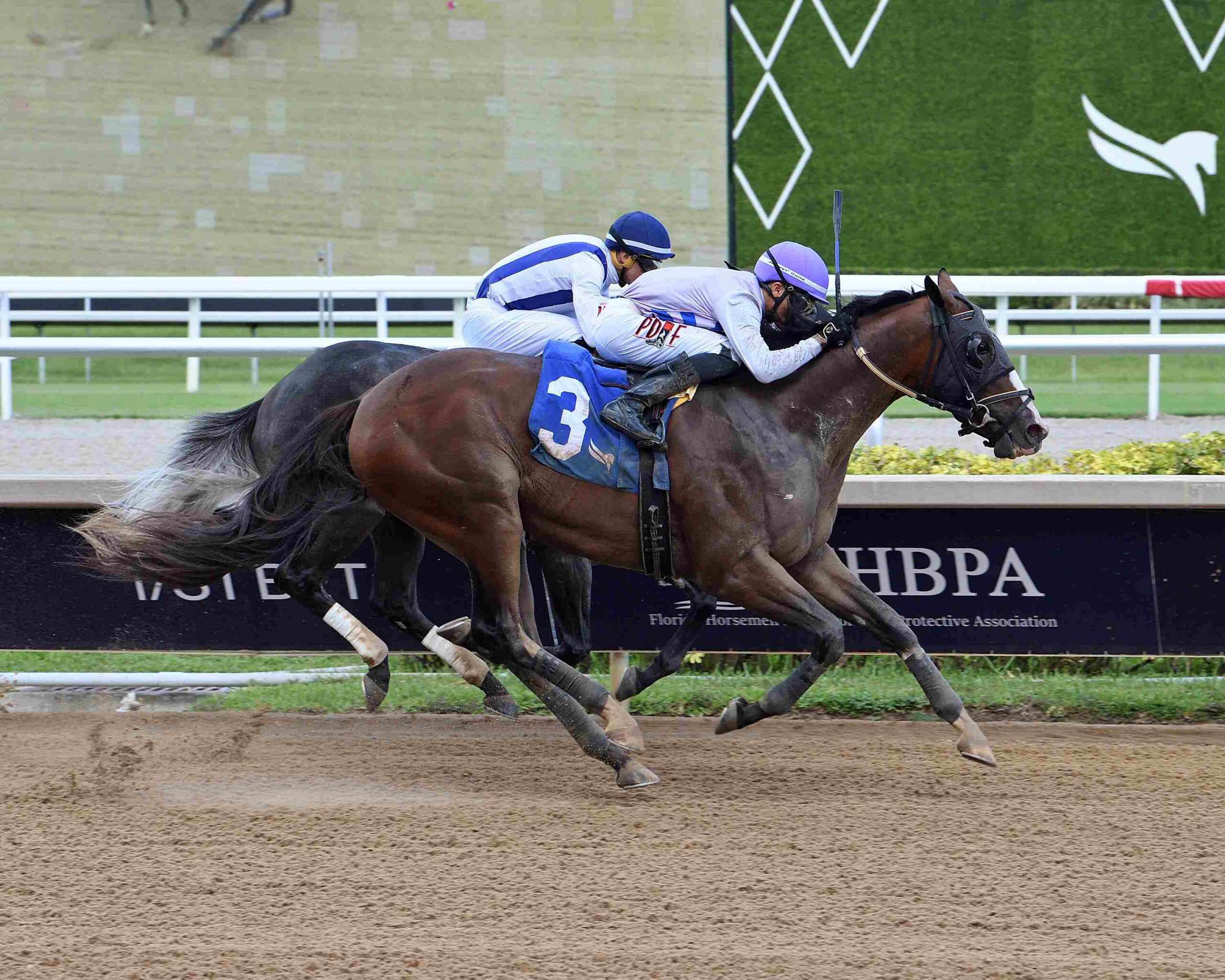 Mrs Candace O winning Race 5 at Gulfstream Park
