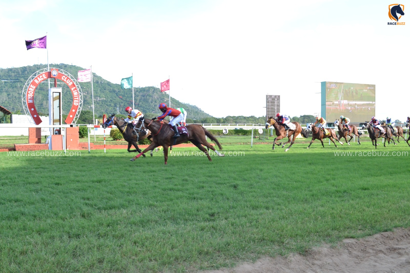 Mysore Race Cards 8 July : Mysore Colts Trial Stakes Preview