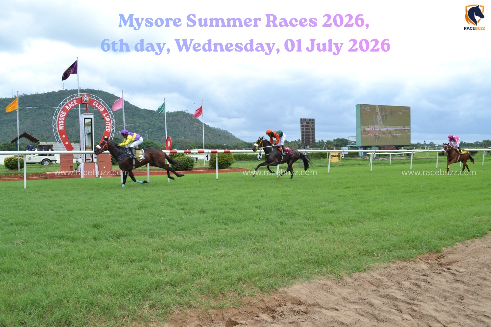 Mysore races results 1 July : EFFICACY Wins The Stewards Trophy