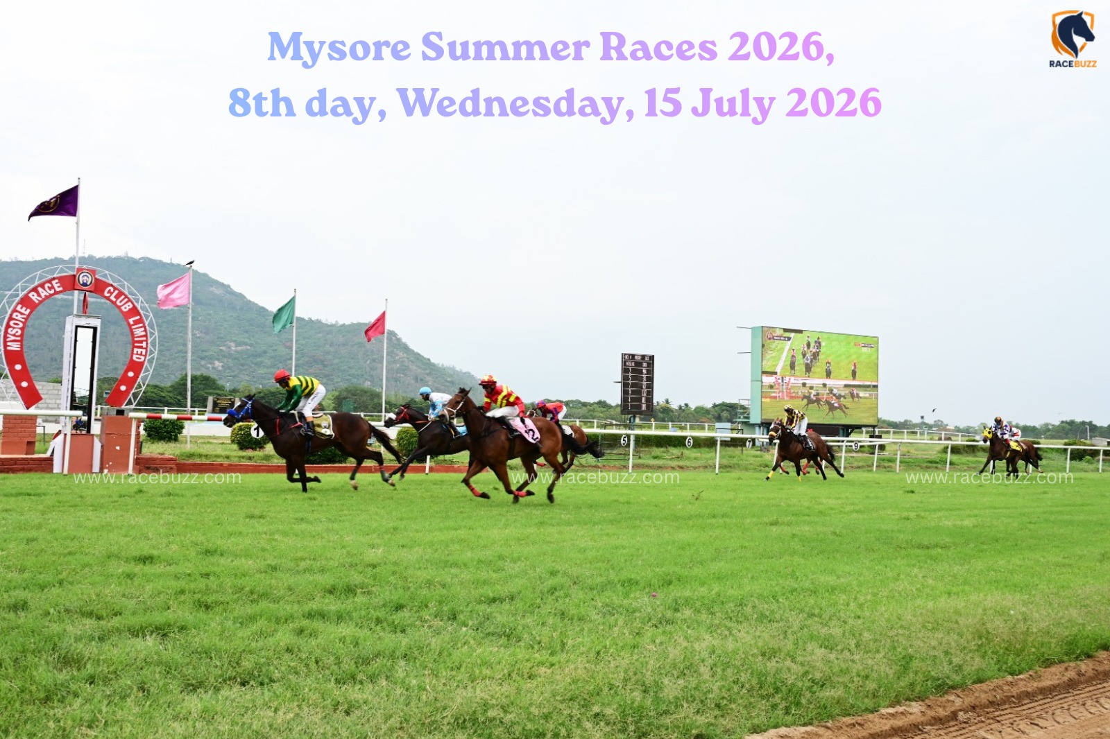 Mother's Grace wins the Whitefield Plate during the Mysore Summer Races 2026 on 15 July at Mysore Race Club.