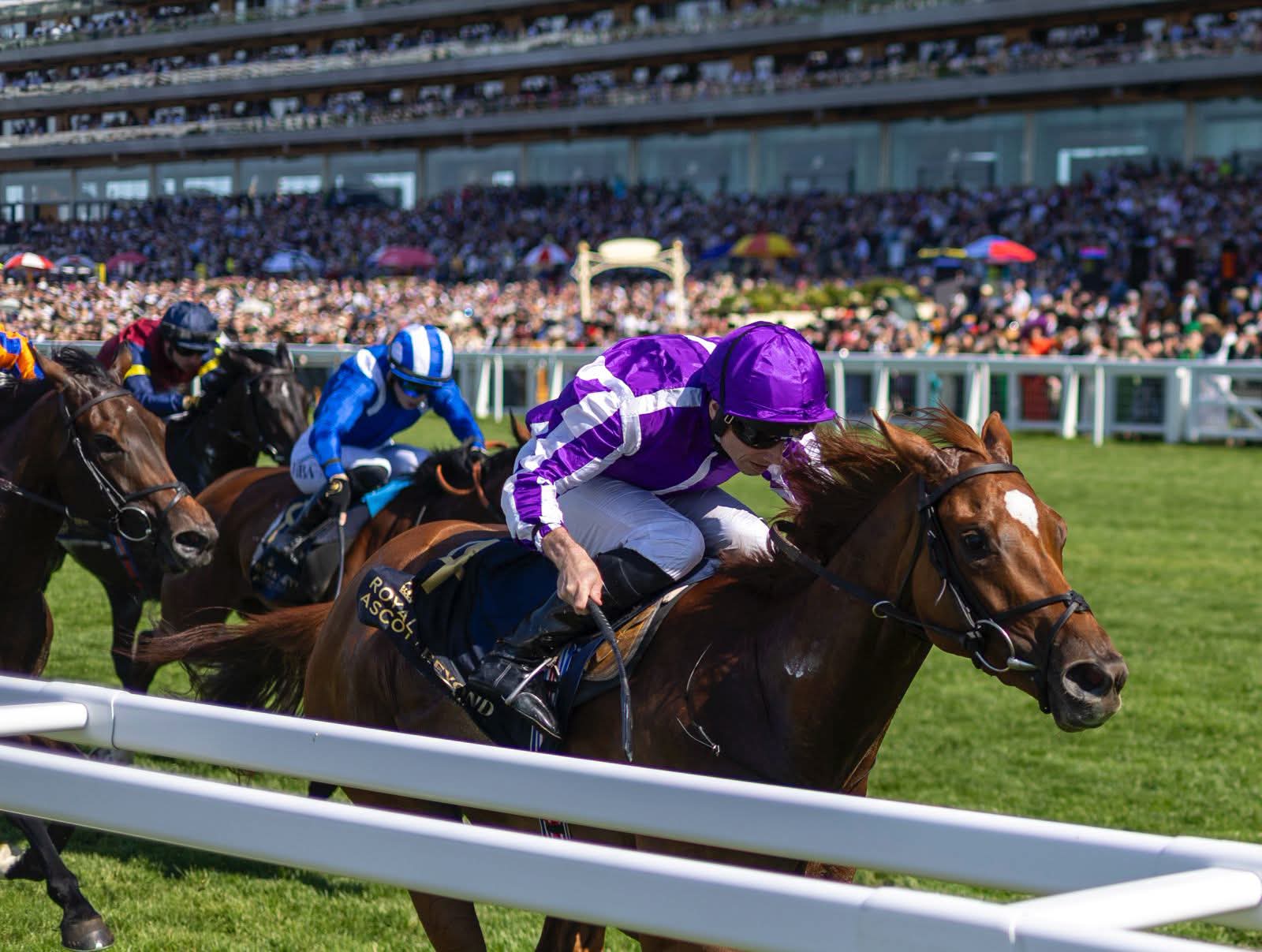 Navan Race Cards 11 July seven-race programme at Navan Racecourse