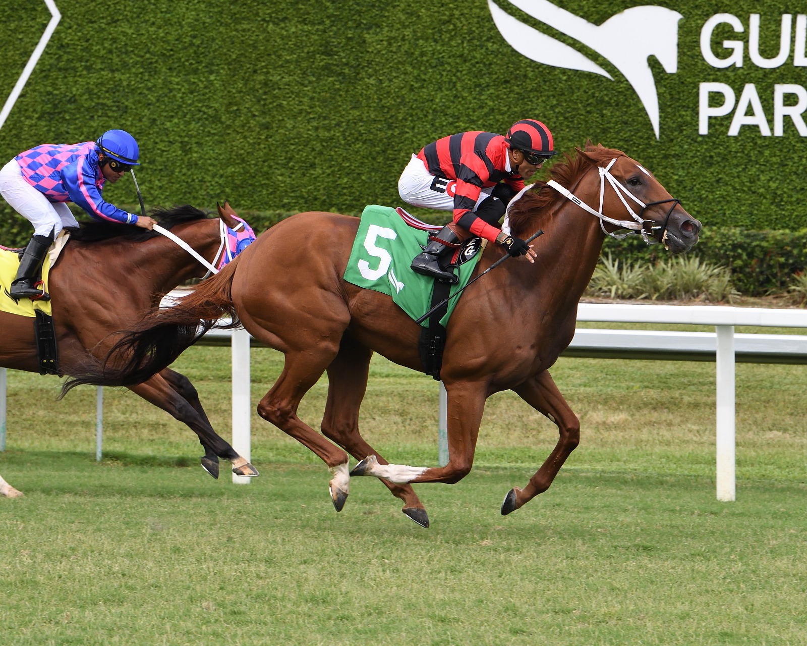 Gulfstream Park result 2026 : Rezasrolex Claims Victory