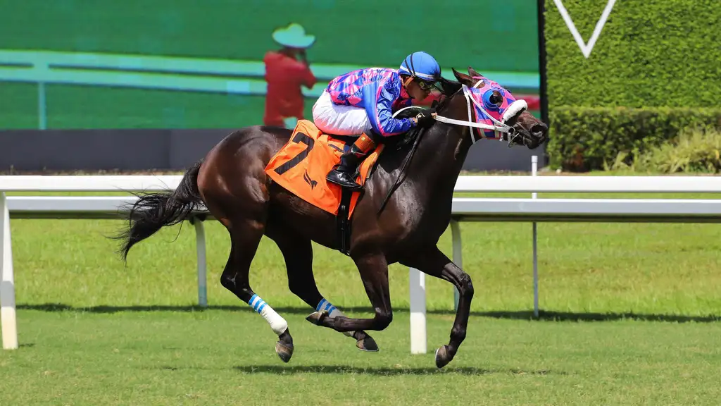 Gulfstream Park Rainbow 6 results featuring Curly Sue victory