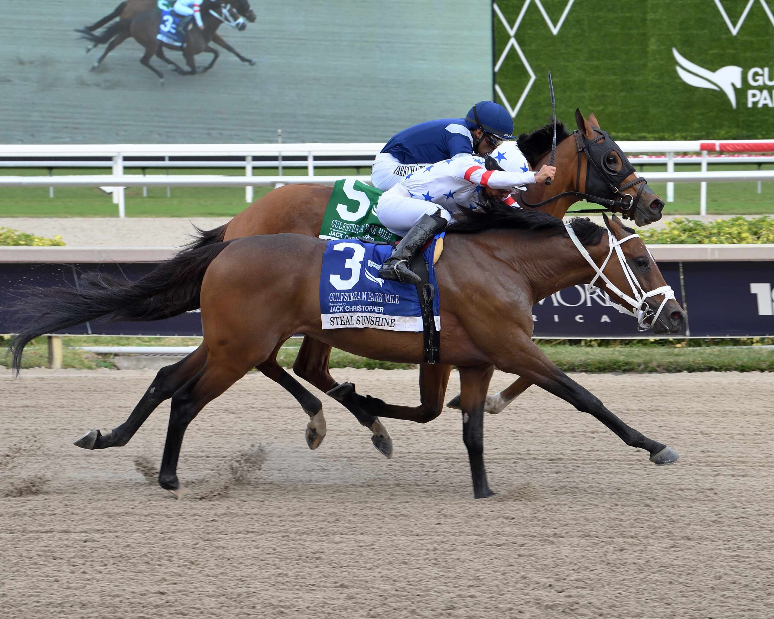 Steal Sunshine leads the field in the Wildcat Red Overnight Handicap at Gulfstream Park.