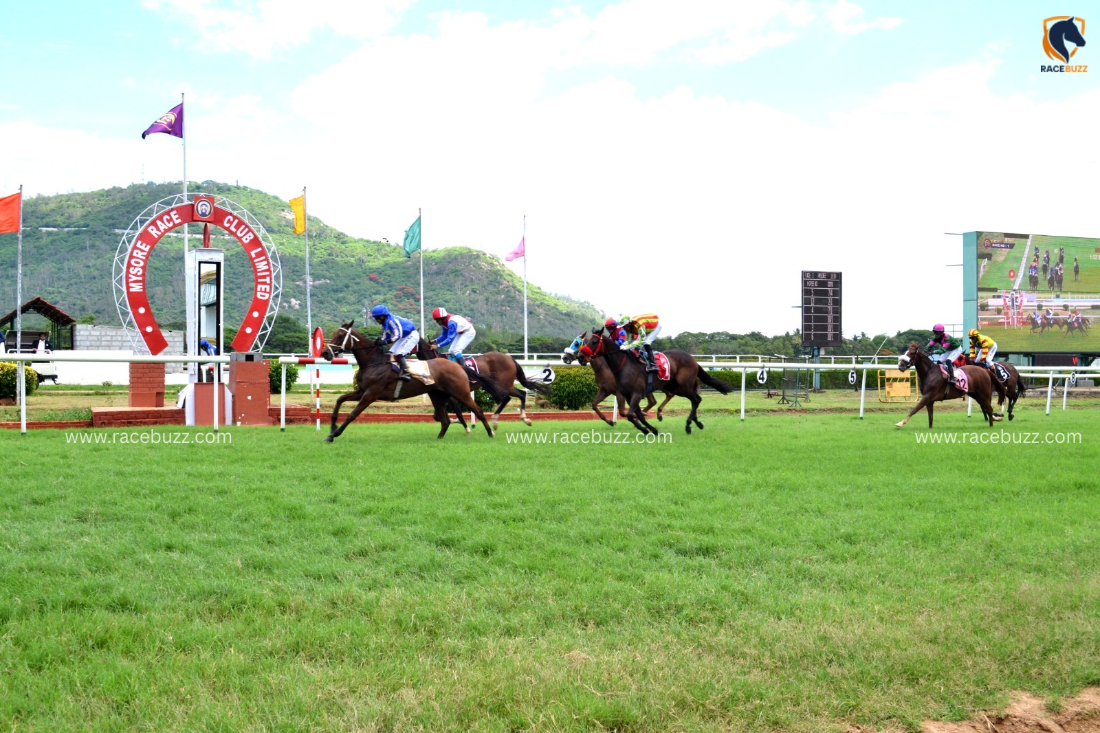 Mysore Race Cards 29 July featuring the Mysore Summer Million 2026 at Mysore Race Club