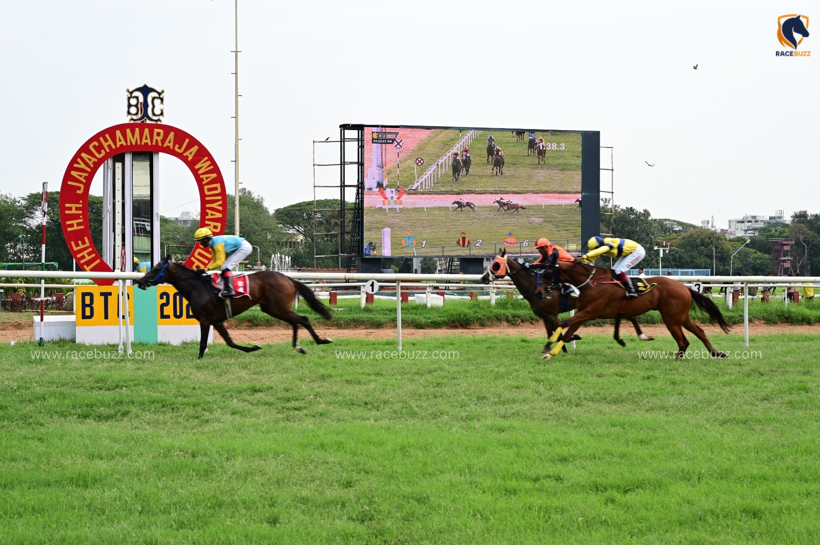 Bangalore Race Cards 31 July at Bangalore Turf Club