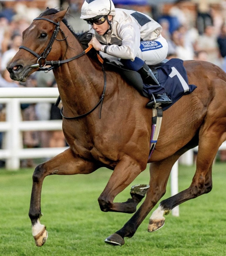 Lingfield Park racecards 22 July 2026 flat racing action at Lingfield Park Racecourse