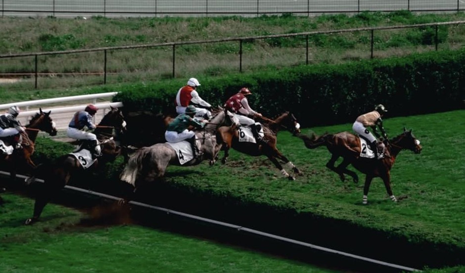 Clairefontaine racecards 22 July 2026 flat racing action at Clairefontaine Racecourse