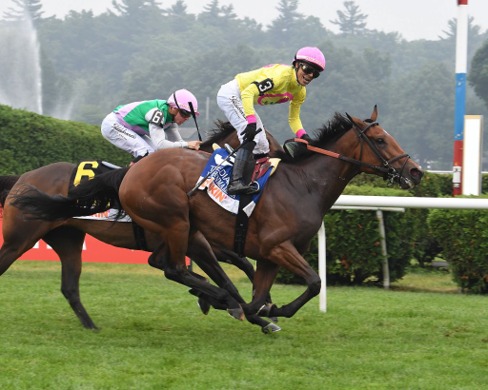 Horses race at Saratoga Racecourse during the Saratoga Race Cards 23 July meeting.