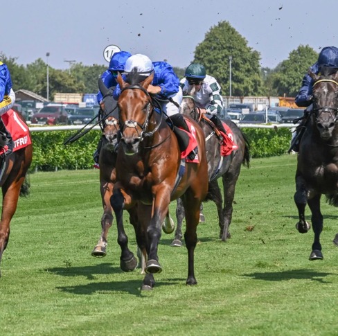 Doncaster Race Cards 23 July seven-race Flat meeting at Doncaster Racecourse