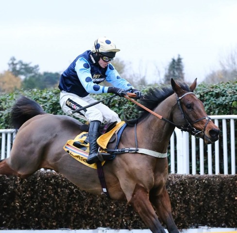 Sandown Park Race Cards 23 July at Sandown Park Racecourse