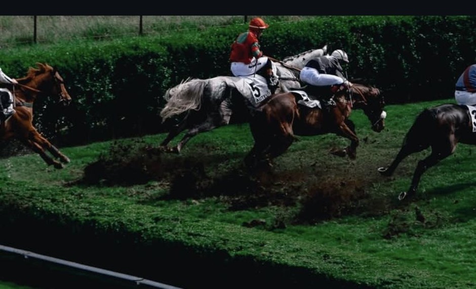 Vichy racecards 23 July 2026 flat racing action at Vichy Racecourse