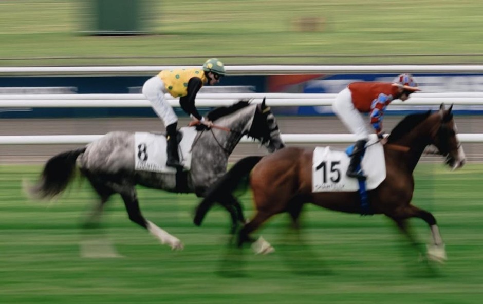Dieppe racecards 18 July 2026 flat racing action at Dieppe Racecourse