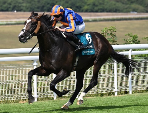 Goodwood Race Cards 30 July featuring runners for the Qatar Nassau Stakes at Goodwood Racecourse.