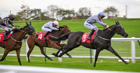 Redcar Race Cards 19 July at Redcar Racecourse featuring a seven-race Sunday fixture