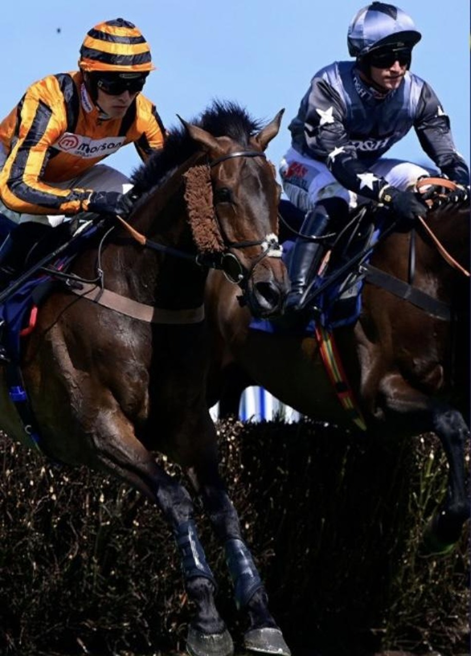 Newton Abbot racecards 19 July 2026 Sunday jump racing at Newton Abbot Racecourse