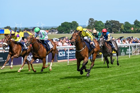 Beverley Race Cards 20 July at Beverley Racecourse