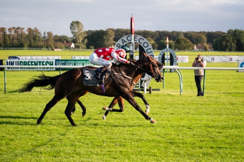Ayr Race Cards 20 July at Ayr Racecourse featuring the seven-race flat programme