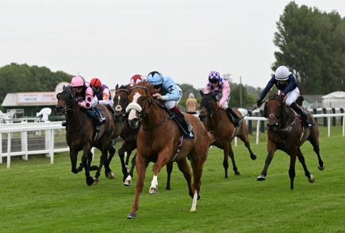 Great Yarmouth Race Cards 2 July at Great Yarmouth Racecourse