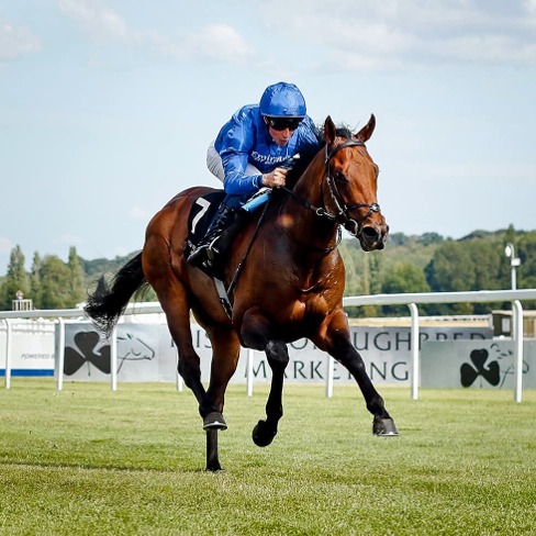 Newbury Race Cards 2 July evening Flat racing programme at Newbury Racecourse
