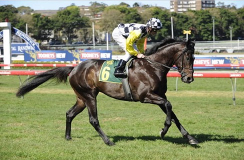 Royal Randwick Race Results 1 July featuring the Kensington Midweek meeting