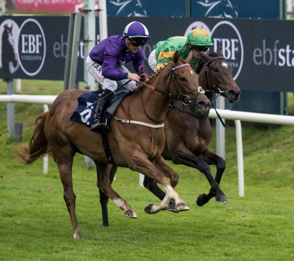 Doncaster racecards 3 july Friday Flat Preview