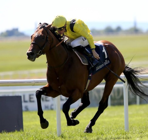 Sandown Park Race Cards 3 July featuring Friday's seven-race Flat programme.