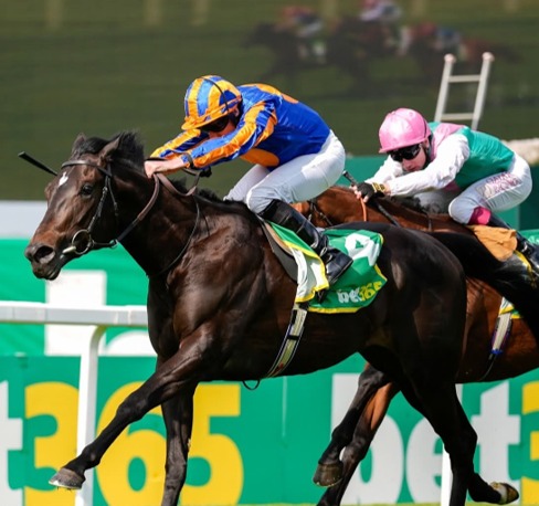 Coral-Eclipse Preview : Sandown Park Race Cards 4 July