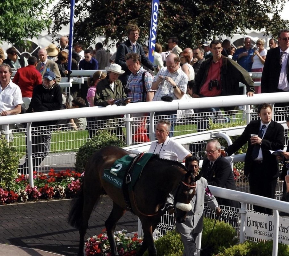 Sandown Park racecards 4 july Saturday Flat Preview