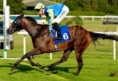 Leicester Race Cards 4 July at Leicester Racecourse