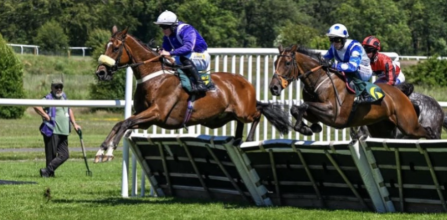 Market Rasen racecards 5 july Sunday Jump Preview